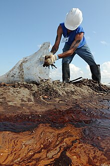 A worker cleans up oily waste on Elmer's Island, Louisiana, on May 21, 2010 Contractors Assist in Deepwater Horizon Spill.jpg