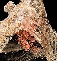Gypsum with crystalline native copper inside
