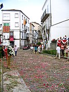 Corpus Christi de Béjar decoración calle.jpg