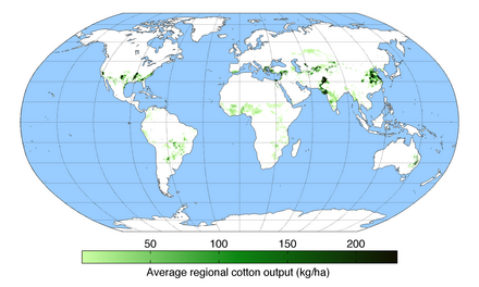 Worldwide cotton production