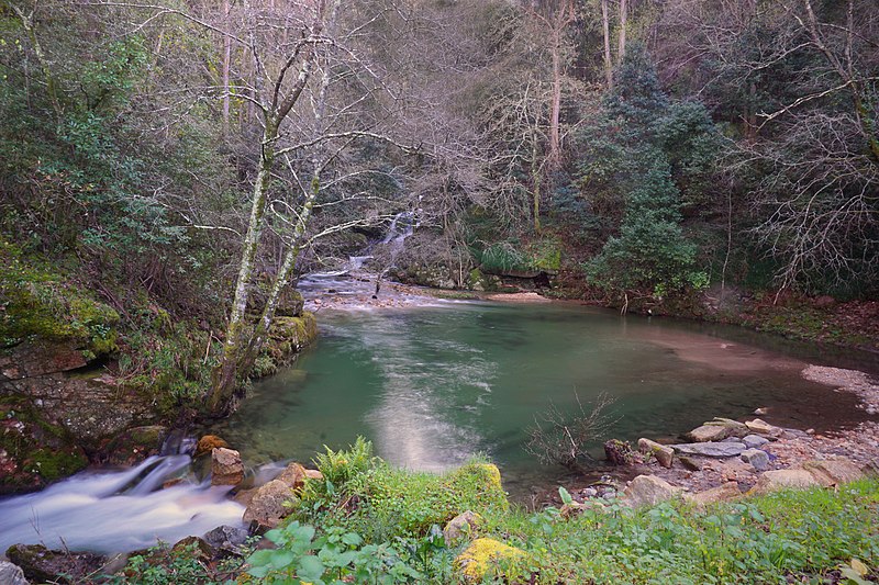 File:Creek (141563305).jpeg