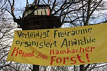Der Hambache Forst lebt! (38600662826).jpg