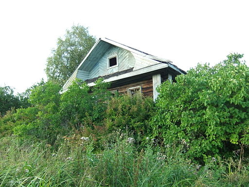 Dermenino - overgrown garden - DSCF5735