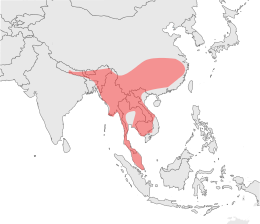 Carte montrant la distribution de la Panthère nébuleuse dans les années 1990 sous forme d'une grande zone continue couvrant la partie continentale de l'Asie du sud-est. Cette zone s'étendent à l'ouest jusqu'au sud-est du Népal, à l'est jusque près de Shanghai et au sud jusqu'à englober la péninsule malaise.