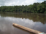 Un barco largo pero estrecho flota en un río ancho, con un denso bosque bordeando el costado.