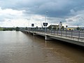 Elbhochwasser 2013 an der Schlachthofbrücke in der Flutrinne Ostragehege