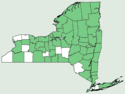 Dryopteris clintoniana NY-dist-map.png