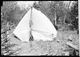 Melihat dari situs kamp, dengan tenda putih, menampilkan sebuah string dari ikan dan fly fishing rod tergantung dari depan tiang tenda.