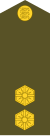 ES-Army-OF1b.svg