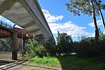 Echuca Moama Rel Bridge.JPG