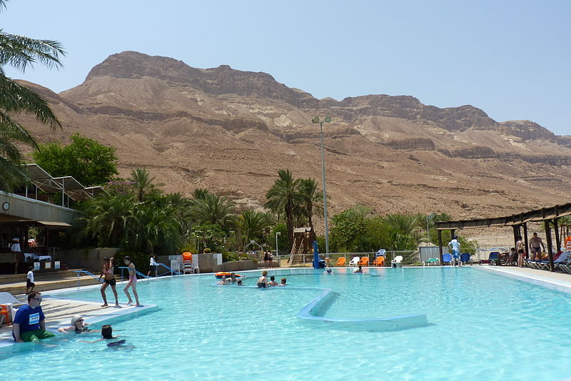 File:Ein Gedi - in the Dead Sea P1110533 (5912662349).jpg