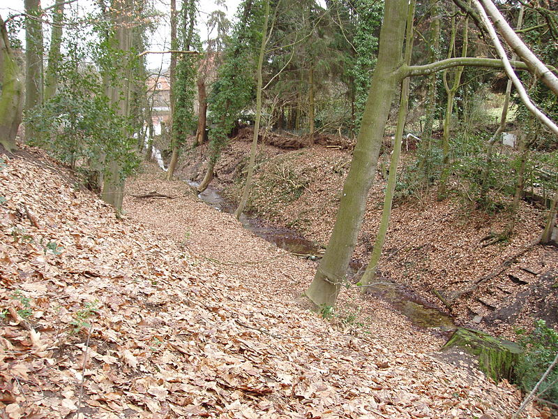 File:Elsloo-Slakbeek-3.JPG