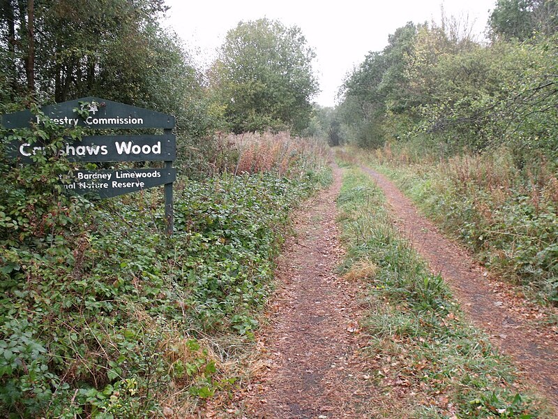 File:Entrance to Camshaw's Wood - geograph.org.uk - 2638976.jpg