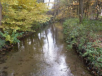 Der Furlbach in der Koldingsheide