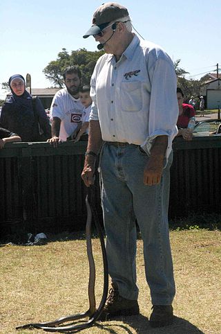 <span class="mw-page-title-main">Snake Man of La Perouse</span>