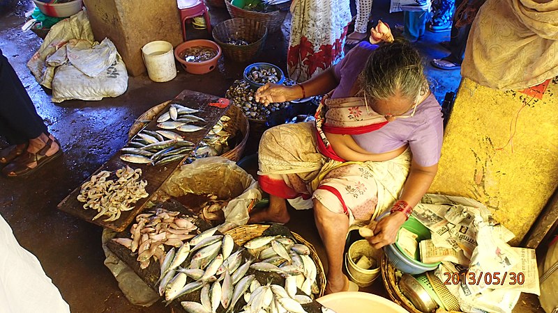 File:Fish Vendor ( Kolin) with the fresh catch at Pedne ( Pernem ) Town - panoramio.jpg