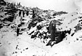 Five men navigating the White Pass Trail, ca 1898 (CURTIS 2012).jpeg