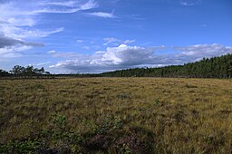 Stora göljen i bakgrunden