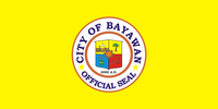 Bayawan