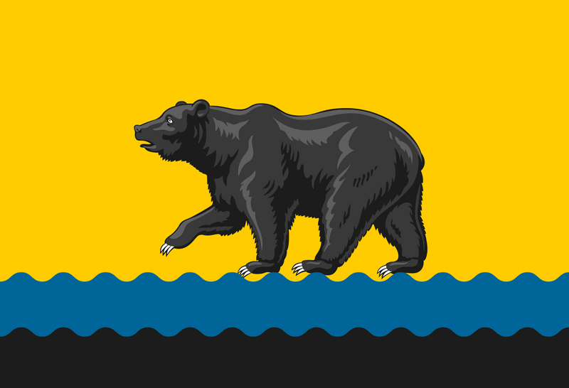 File:Flag of Nefteyugansk.png