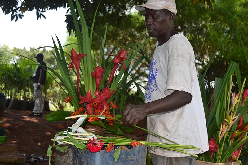 File:Fleuriste de Yamoussoukro 83.jpg