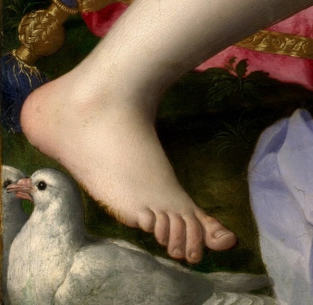 File:Foot detail from Venus, Cupid, Folly and Time by Agnolo Bronzino.jpg