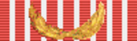 ไฟล์:Freeman_Safeguarding_Medal_-_Class_1_(Thailand).png