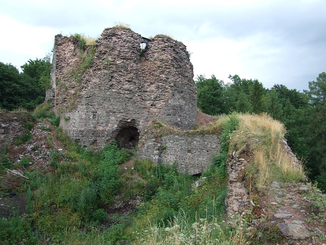 Burg Frymburk