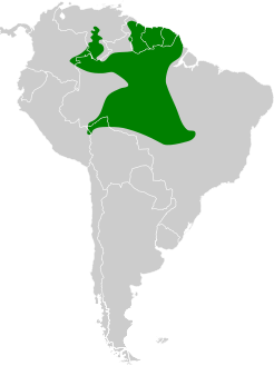 Galbula leucogastra map.svg