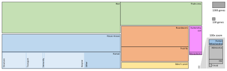 Tập_tin:Gene_numbers.svg