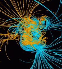 A visual representation of the Glatzmaier model after dipole reversal Geodynamo After Reversal.gif