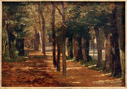 303 Path in a park label QS:Lit,"Viale delle cascine" label QS:Len,"Path in a park" 1875