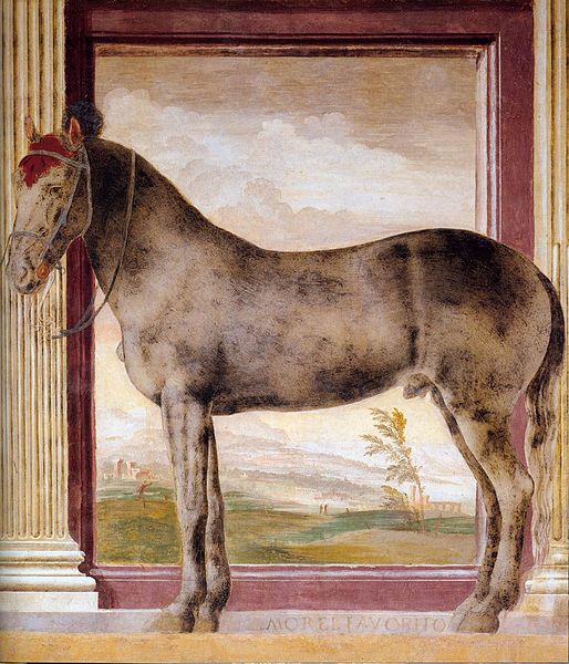 514px-Giulio_Romano_-_The_Horse_%22Morel_favorito%22_-_WGA09588.jpg