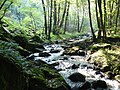 Vignette pour Canche (rivière)