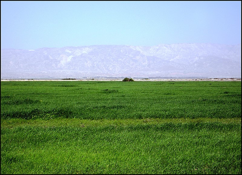 File:Green Nature صحرای سرسبز - panoramio.jpg