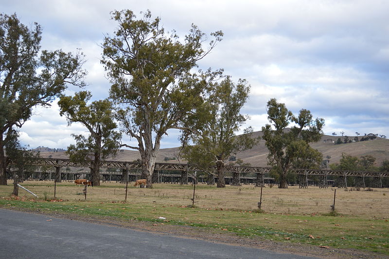 File:Gundagai Bridges 002.JPG