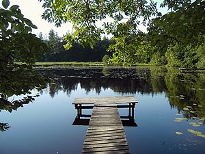 Hackensee (west side) .JPG