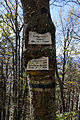 * Nomination Signposts at the hiking trail next to Hainfelderhütte on Kirchberg mountain near Hainfeld, Lower Austria --Uoaei1 07:27, 13 January 2015 (UTC) * Promotion Good quality. --Hubertl 08:50, 13 January 2015 (UTC)