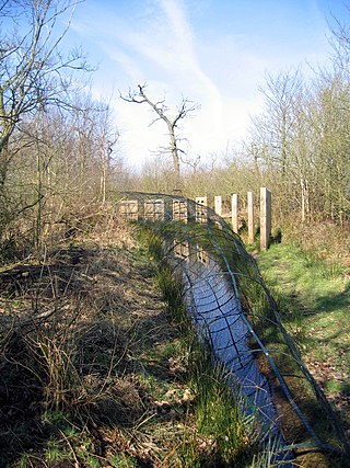 <span class="mw-page-title-main">Hale Duck Decoy</span> Waterfowl trap and nature reserve in England
