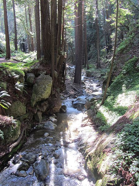 File:Hare Canyon Creek (8613083124).jpg