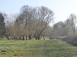 Hempstead Meadow (3).jpg