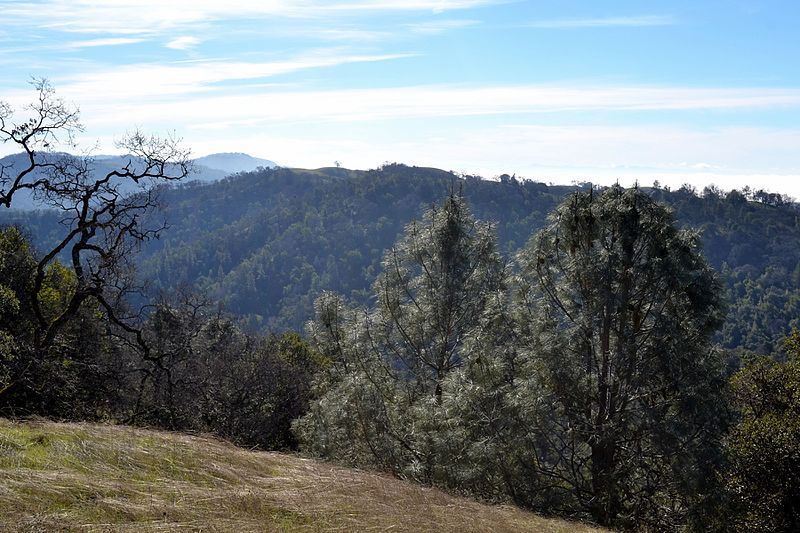 File:Henry Coe State Park, close to the Morgan Hill entrance.jpg