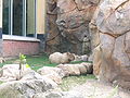 Henry Vilas Zoo, Madison, Wisconsin, 2004