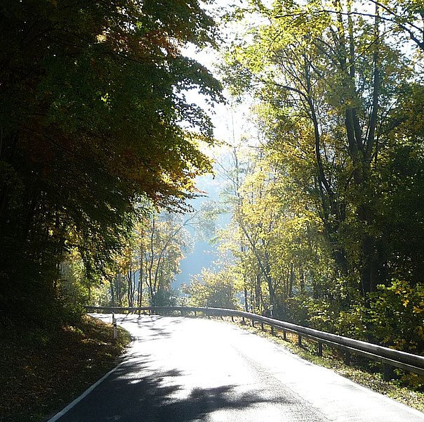 File:Herbstliche Landstraße zwischen Zeckendorf und Ludwag - panoramio.jpg