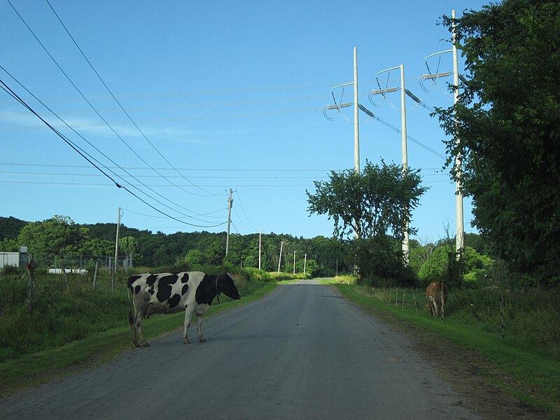 File:Herkimer County, New York - 7546926110.jpg