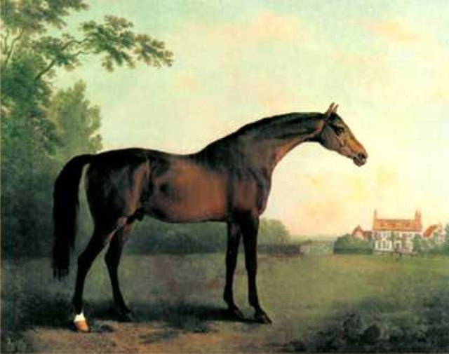 Highflyer, who was champion sire 13 times