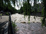 Hochwasser der Dreisam auf den Freiburger Wasserterrassen
