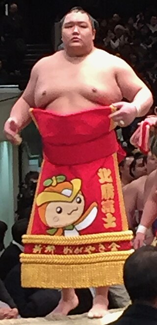 <span class="mw-page-title-main">Hokutofuji Daiki</span> Japanese sumo wrestler