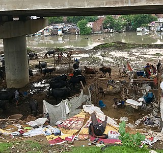 <span class="mw-page-title-main">Homelessness in India</span> Major social issue in India