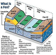 Fenの意味 使い方 読み方 Weblio英和辞書